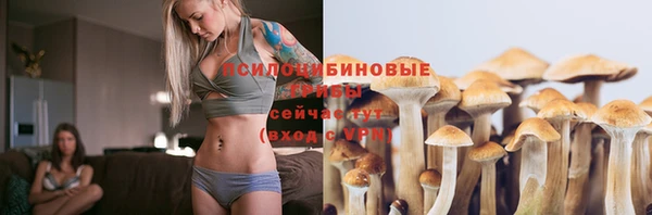 винт Верея