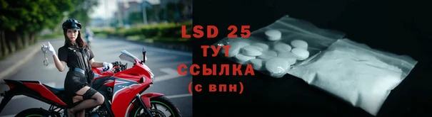 винт Верея